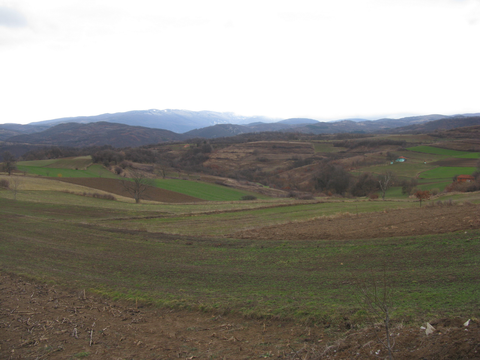 Lovište Orlovica
